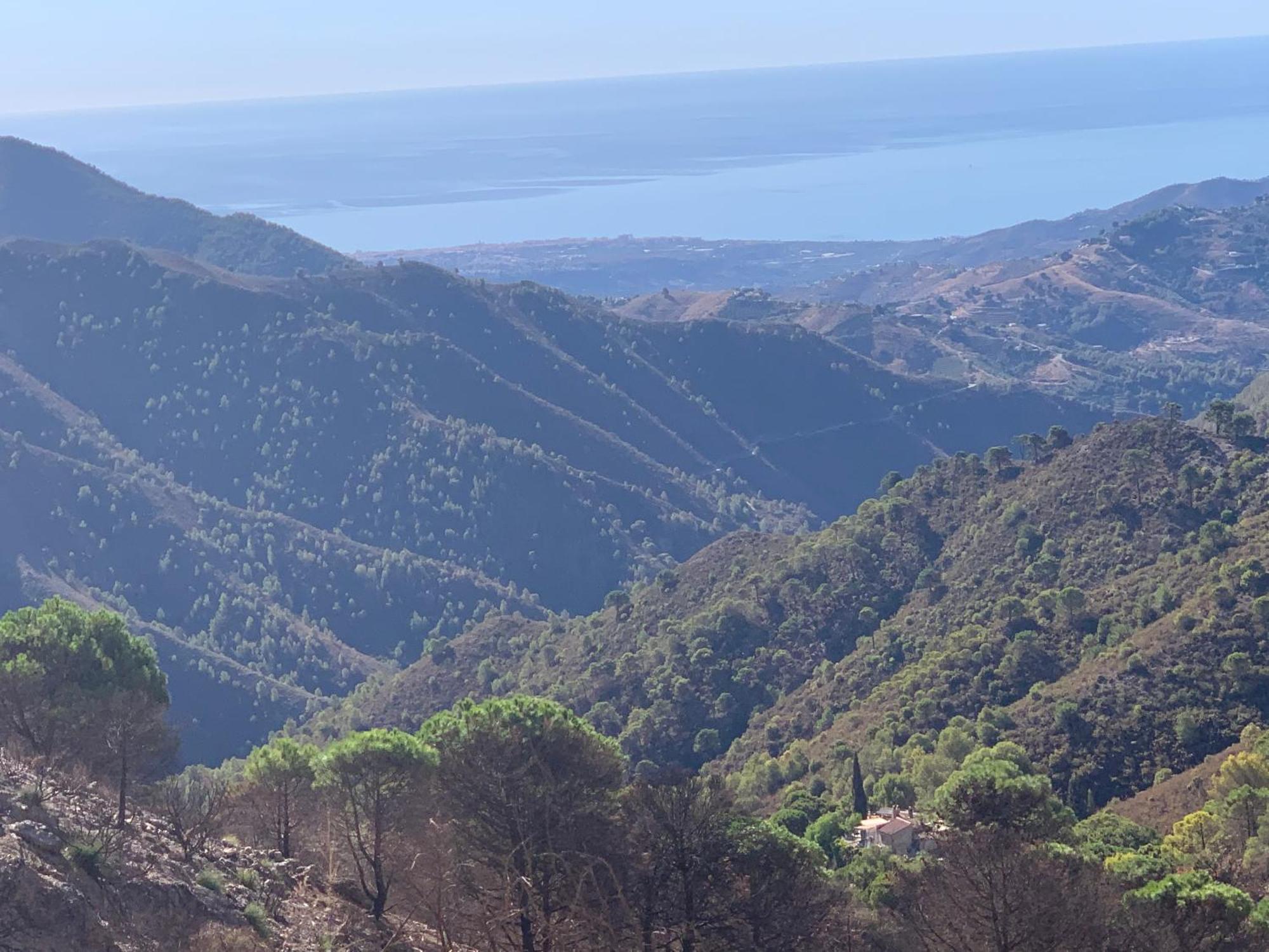 Finca El Almendro Malaga Zewnętrze zdjęcie