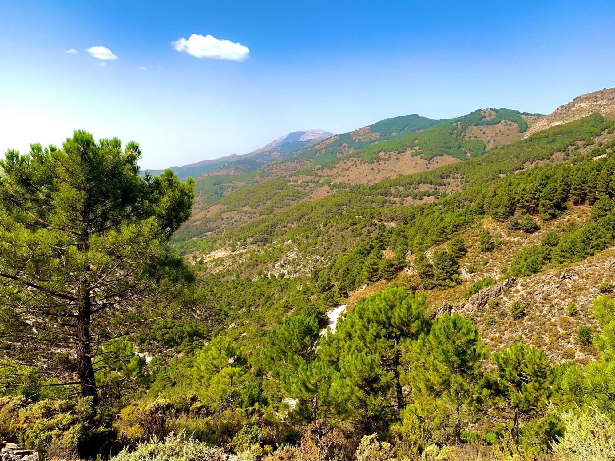 Finca El Almendro Malaga Zewnętrze zdjęcie